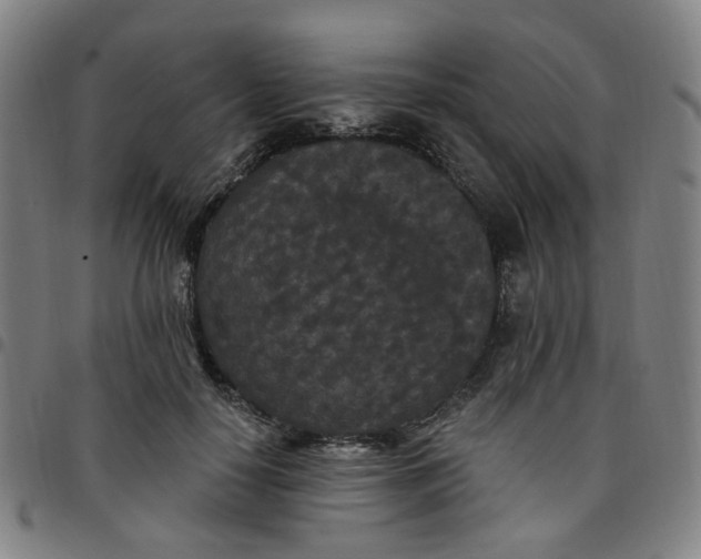 X0000097510650200803071825