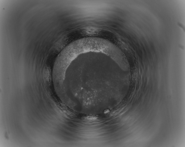 X0000097510651200803071825