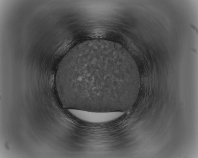 X0000097510652200803071825