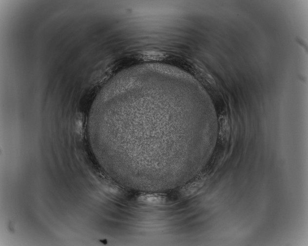 X0000097510655200803071825