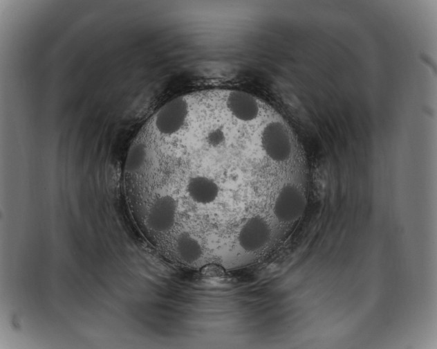 X0000097510657200803071825