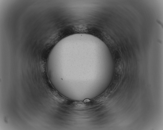 X0000097510658200803071825