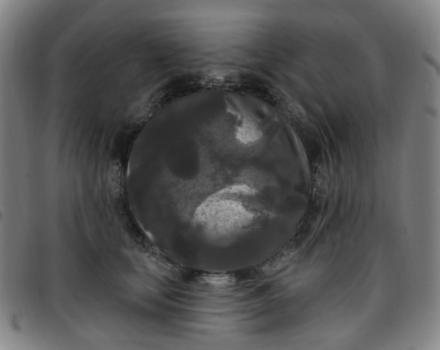 X0000097510659200803071826