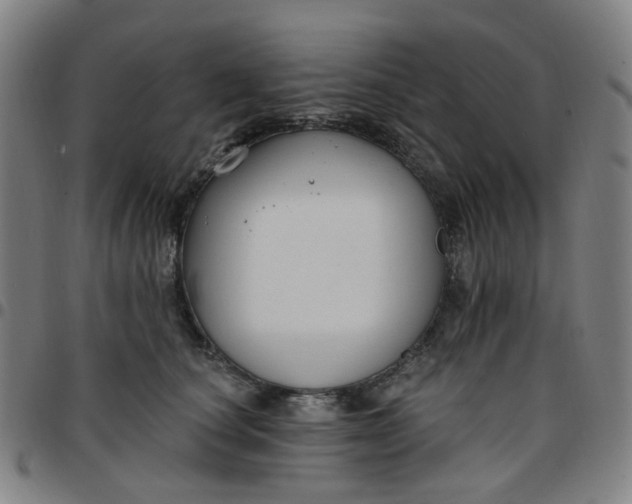 X0000097510660200803071826