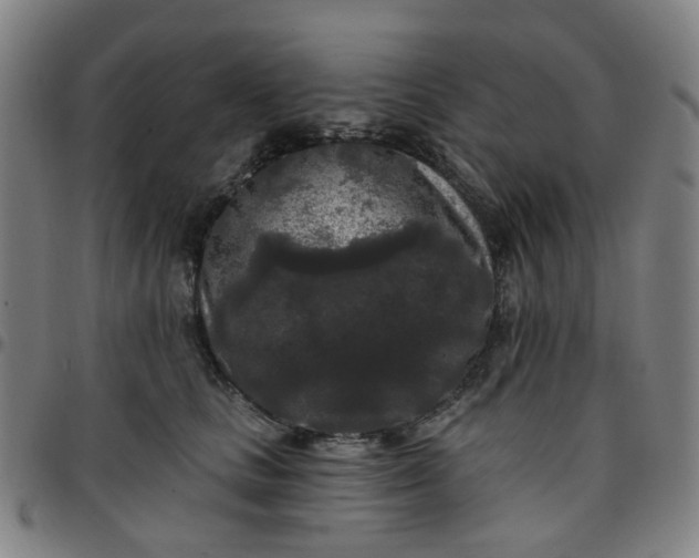 X0000097510661200803071826