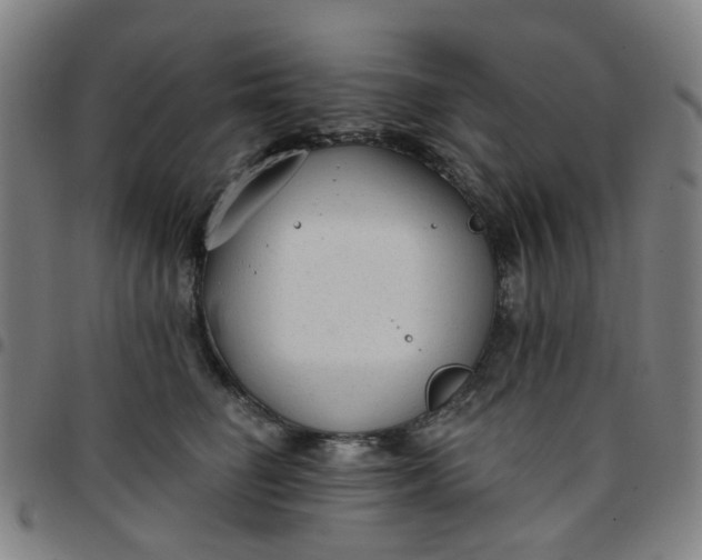 X0000097510662200803071826