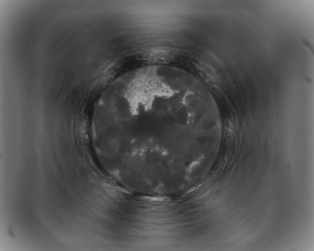 X0000097510663200803071826