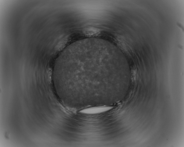 X0000097510664200803071826