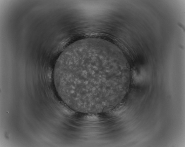 X0000097510668200803071826