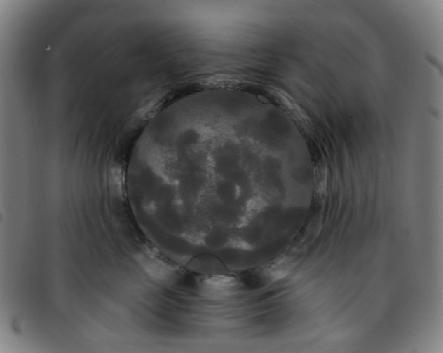 X0000097510669200803071826