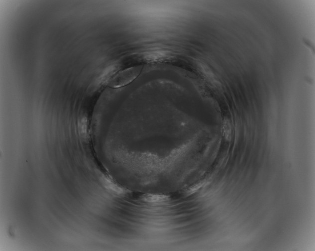 X0000097510670200803071826