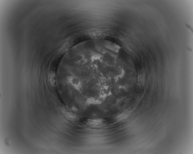 X0000097510671200803071826