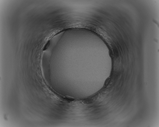 X0000097510673200803071825