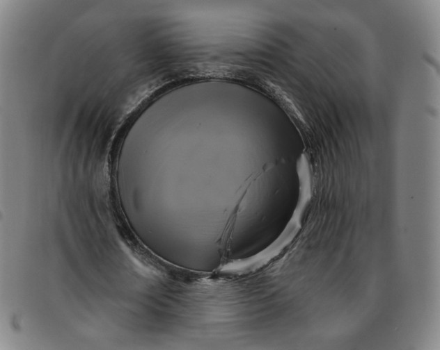 X0000097510674200803071825