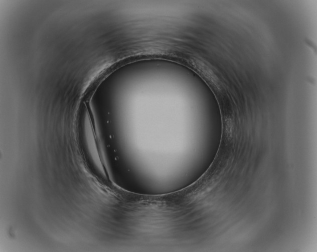 X0000097510676200803071825