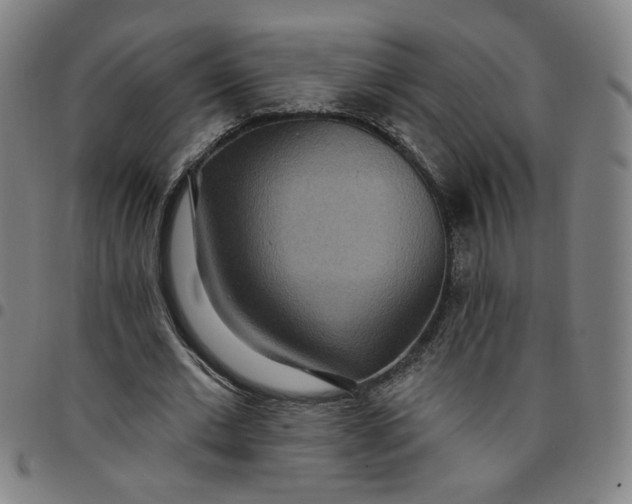 X0000097510677200803071825