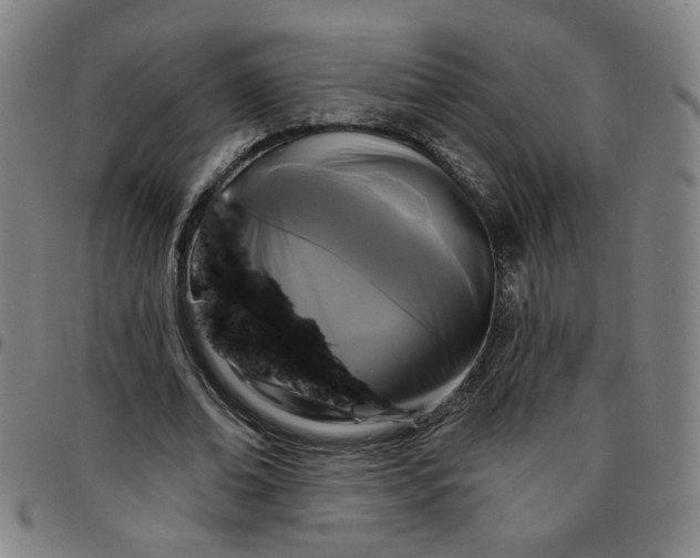 X0000097510678200803071825