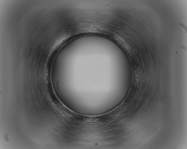 X0000097510680200803071825