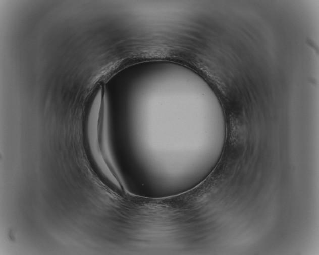 X0000097510681200803071825