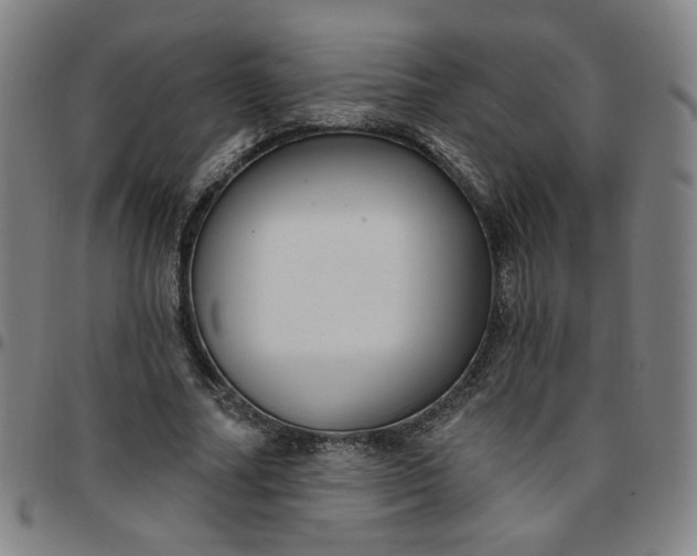 X0000097510682200803071825