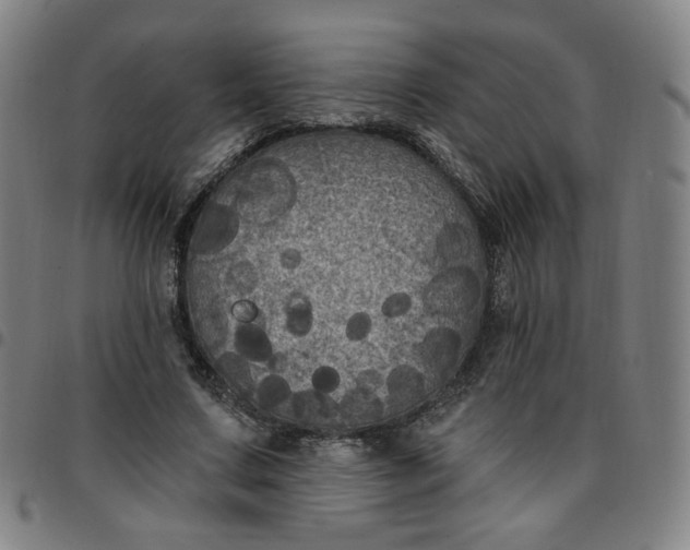 X0000097510683200803071825