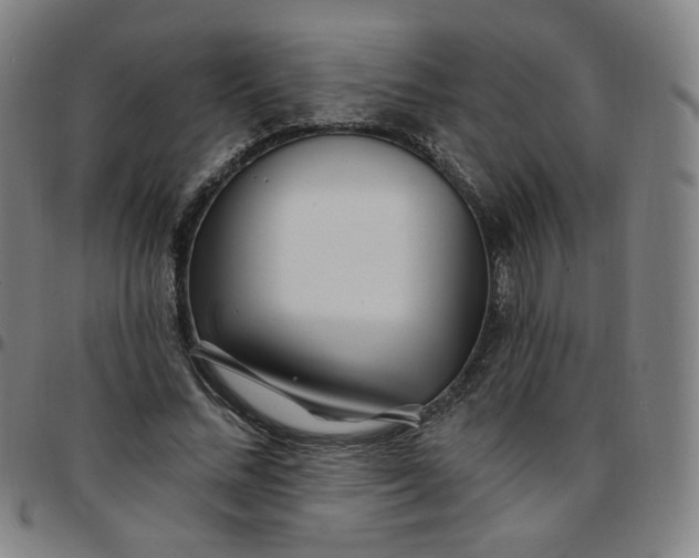 X0000097510684200803071825