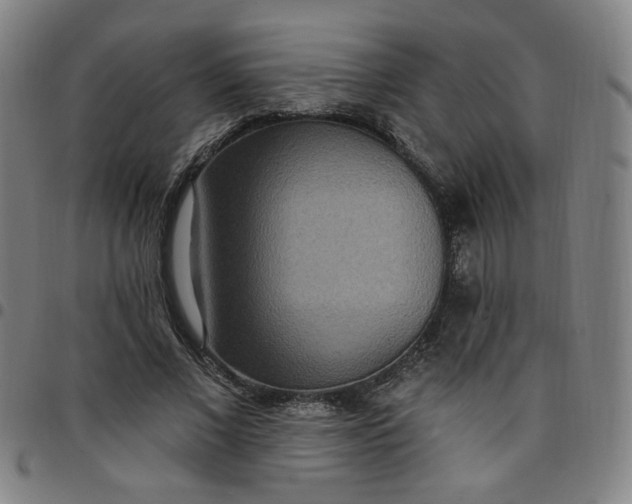 X0000097510685200803071825