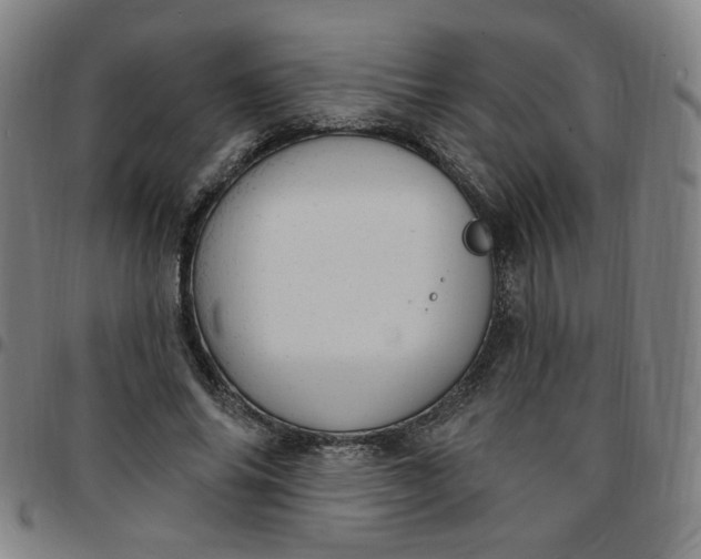 X0000097510686200803071825