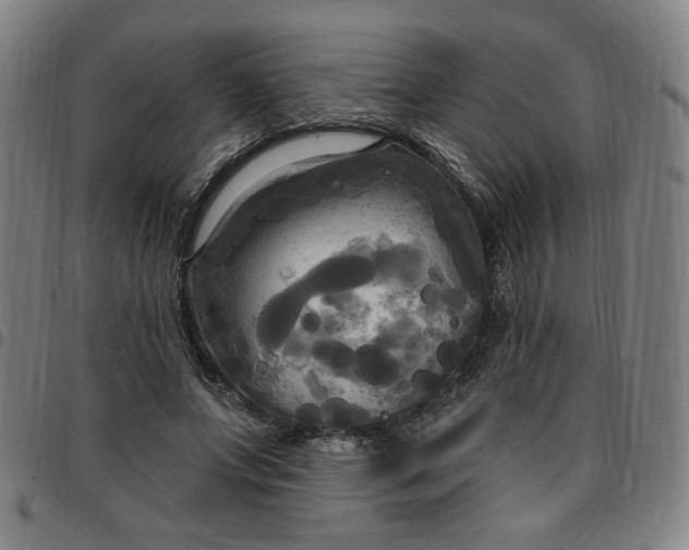 X0000097510687200803071825