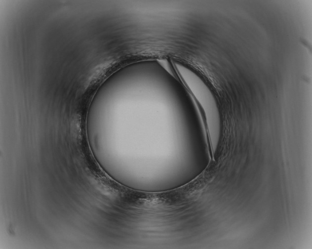 X0000097510688200803071825