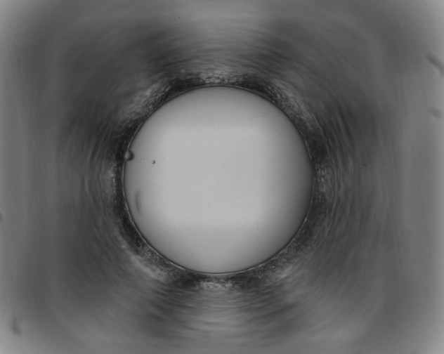 X0000097510690200803071825