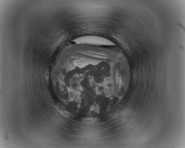 X0000097510691200803071825