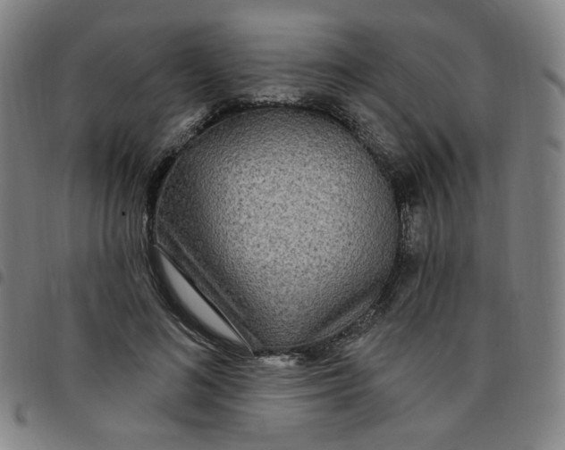 X0000097510692200803071825