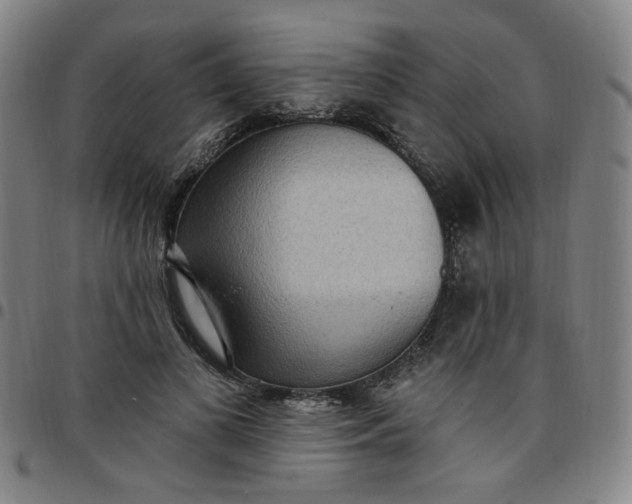 X0000097510693200803071825