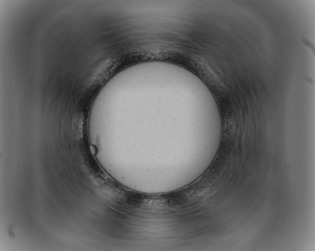 X0000097510694200803071825