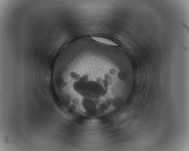 X0000097510695200803071825