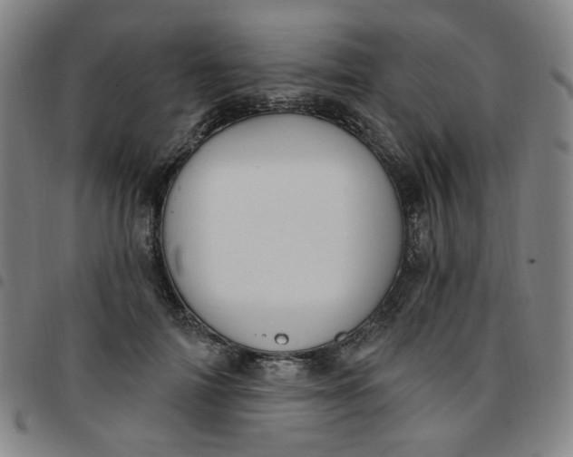 X0000097510698200803071825