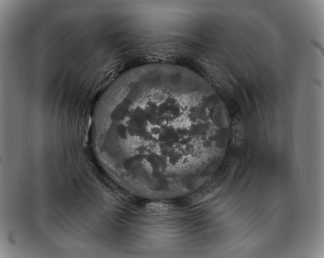 X0000097510699200803071825