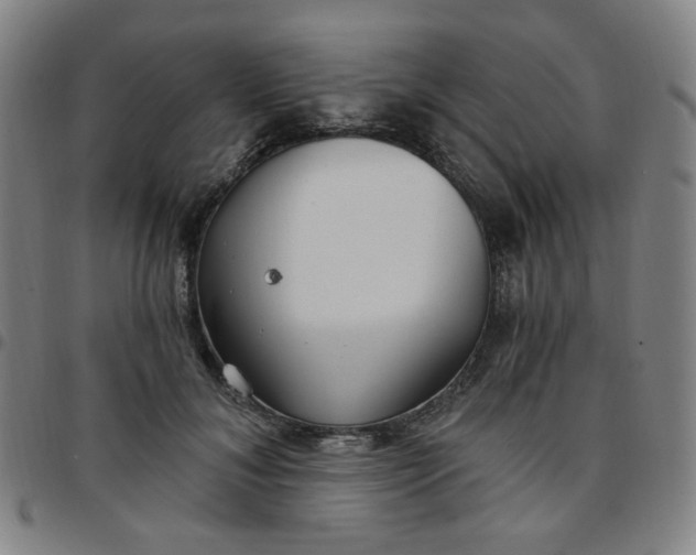 X0000097510700200803071825