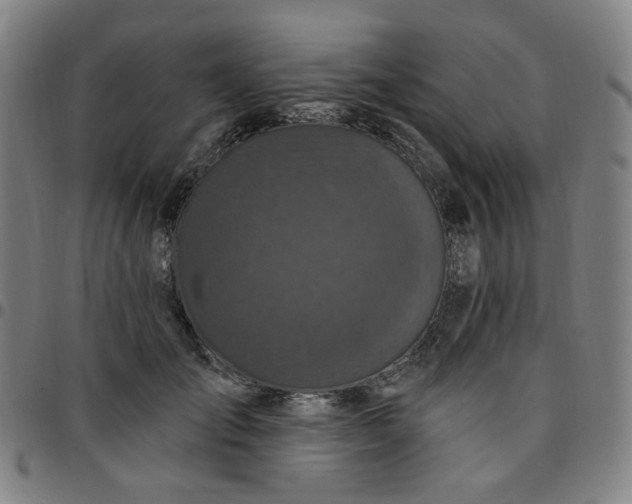 X0000097510701200803071825