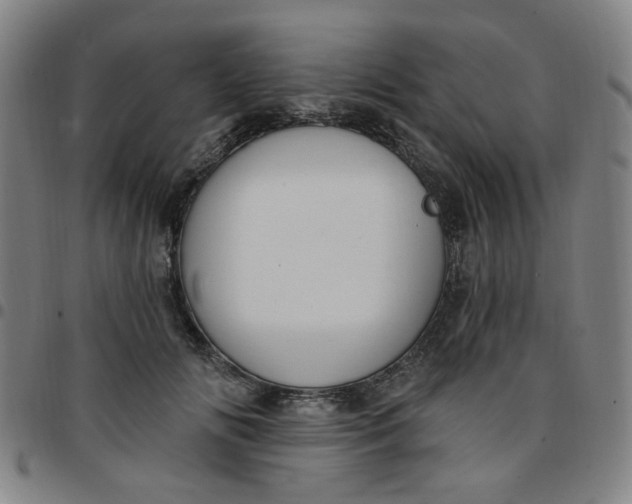 X0000097510702200803071825