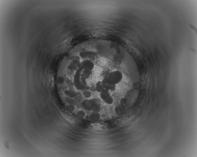 X0000097510703200803071825