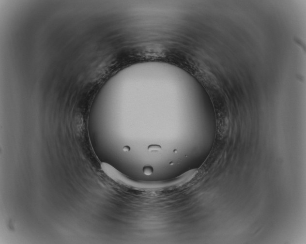 X0000097510704200803071825