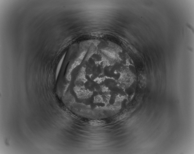 X0000097510707200803071824