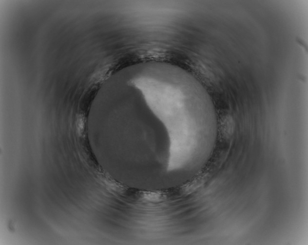 X0000097510709200803071824