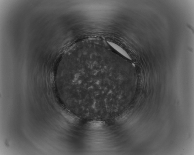 X0000097510711200803071824