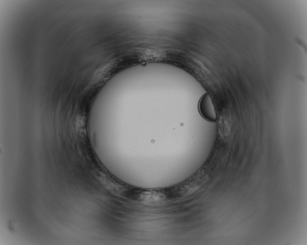 X0000097510714200803071824