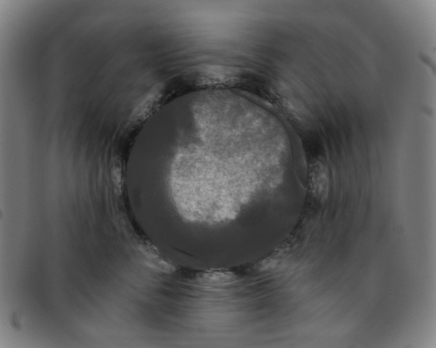 X0000097510716200803071824