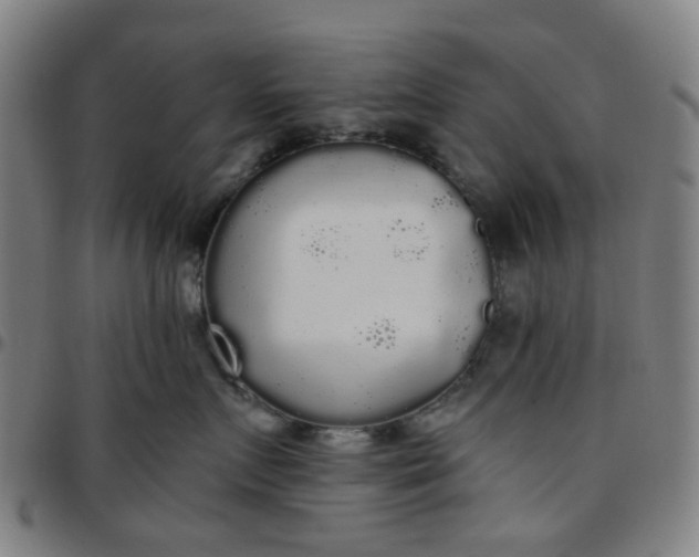 X0000097510719200803071824