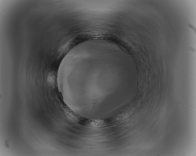 X0000097510720200803071824